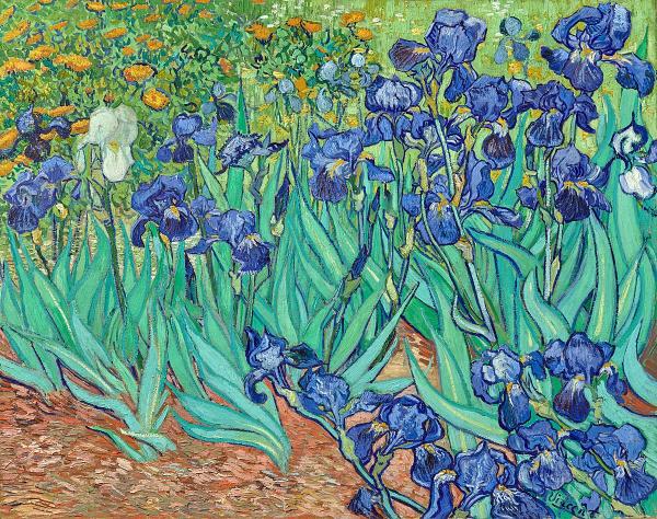 Figure 2 IRIS VINCENT VAN GOGH